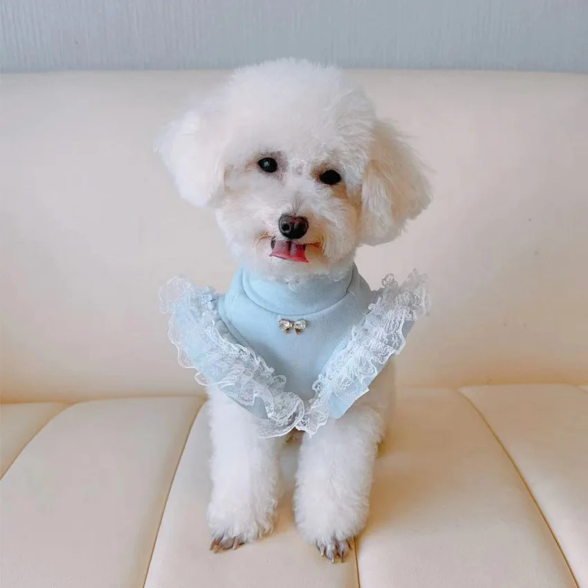 ペット服秋と冬のベースシャツレースフライングスリーブレディー - Lace Teddy Lingerie のレビューと価格