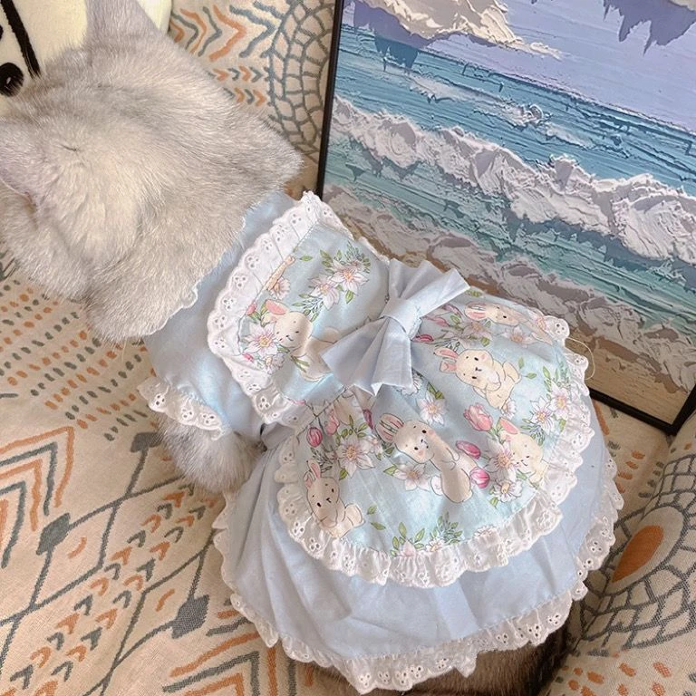 犬のためのピンクの花柄のレースのペットのドレス,かわいい,小 - Lace Teddy Lingerie のレビューと価格