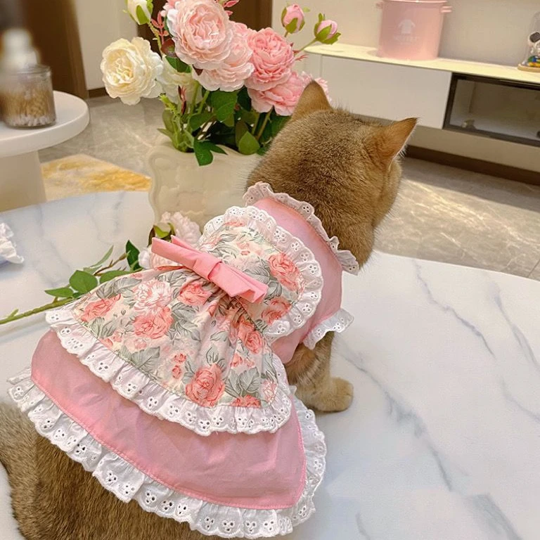犬のためのピンクの花柄のレースのペットのドレス,かわいい,小 - Lace Teddy Lingerie のレビューと価格