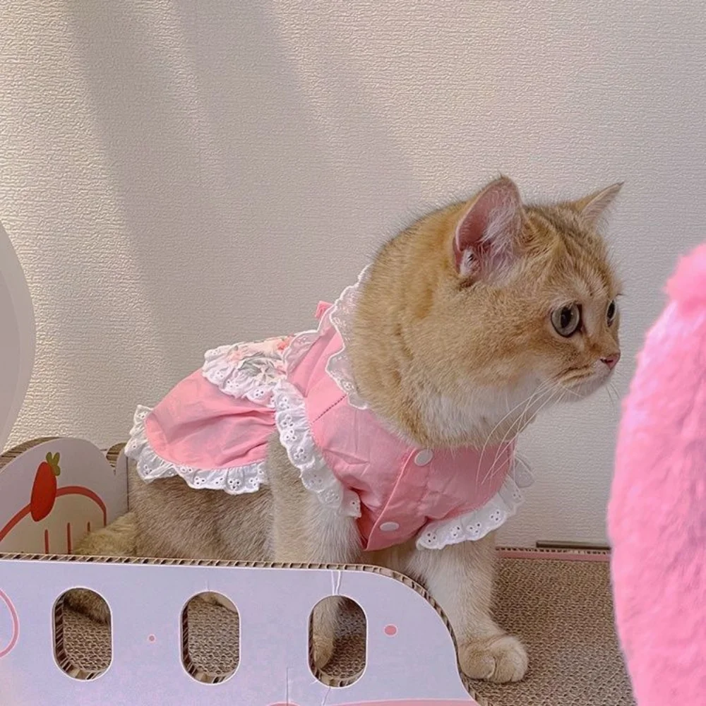 犬のためのピンクの花柄のレースのペットのドレス,かわいい,小 - Lace Teddy Lingerie のレビューと価格